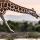 Image for article titled The most inspiring nature photography of the year